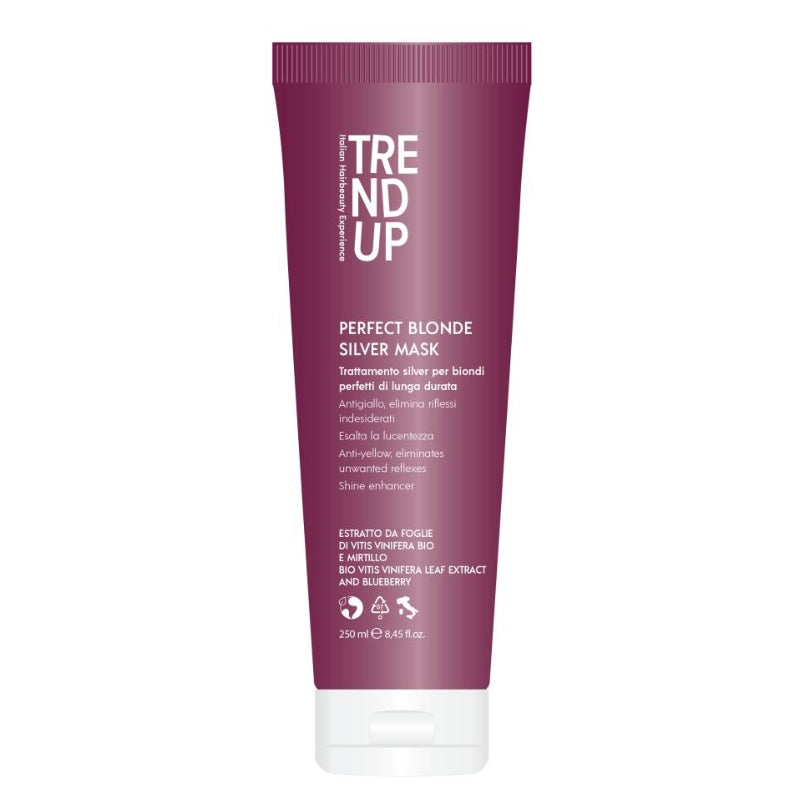 Trend Up Perfect Blonde Silver Mask 250ml