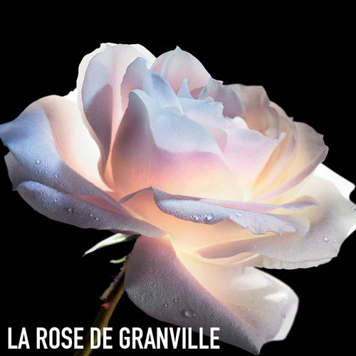 Dior Prestige Le Micro Sérum De Rose Yeux Advanced 15ml